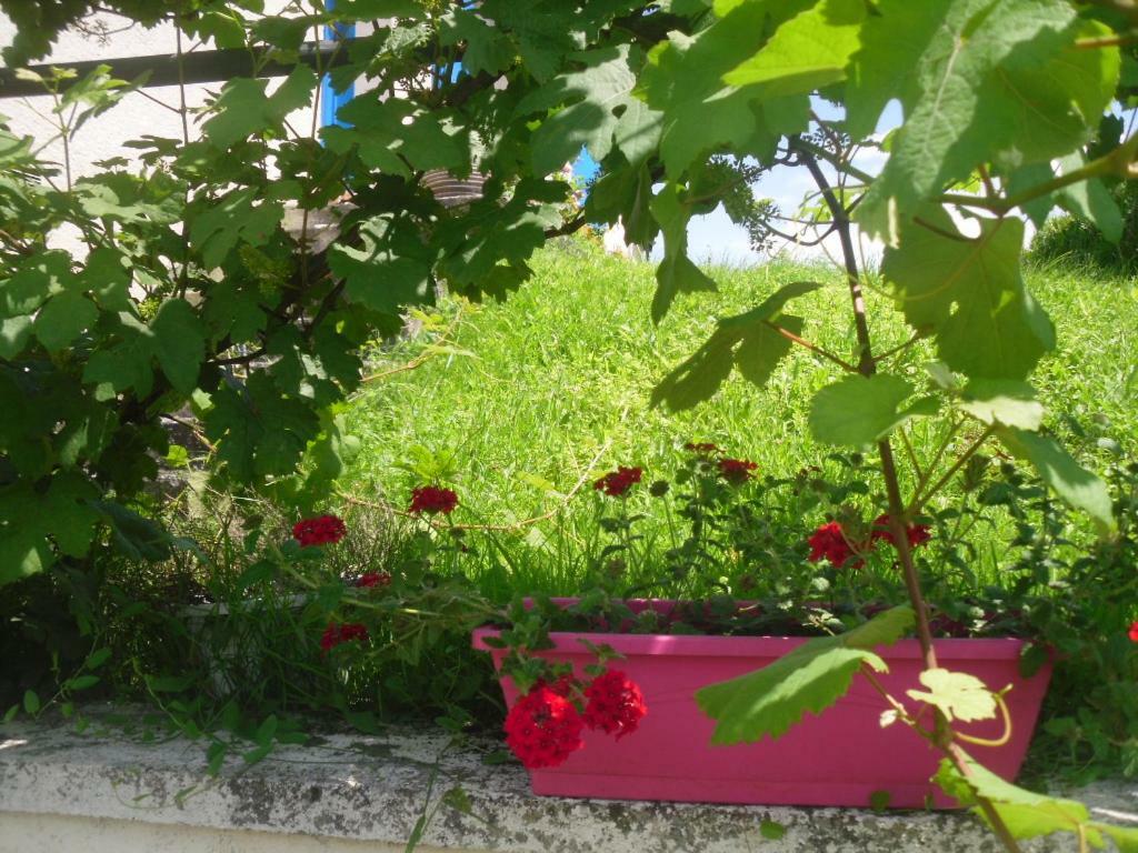 Ma Cambuse Pres Giverny Limetz-Villez Exteriör bild